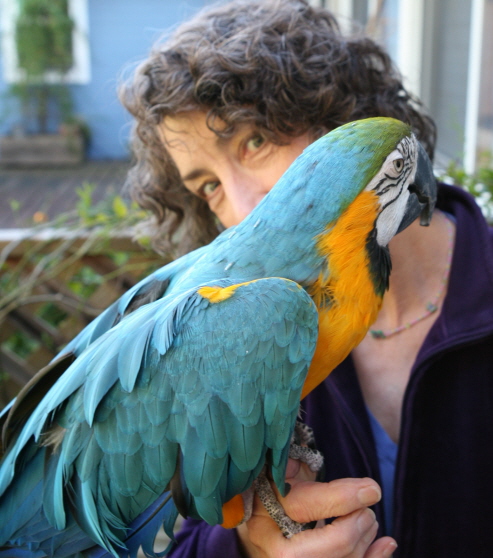 Bernadette Wulf and macaw