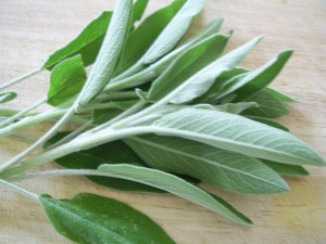 Sage tea to heal what ails you