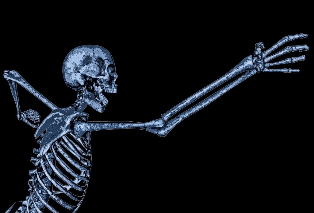 skeleton - HealItAll.com