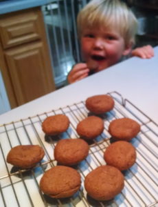 vegan gluten free ginger cookies