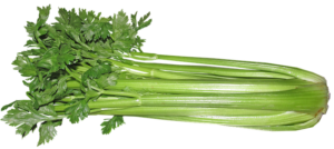 health benefits of celery