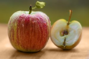 Apple seeds contain laetrile