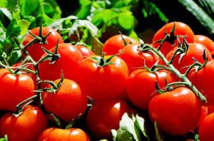 Nightshades: tomatoes for eye health