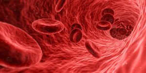 Erythritol, blood clotting and stroke