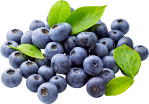 Wild blueberries are one of the top antioxidant foods