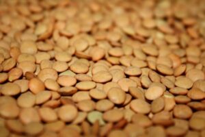 Lentils - top antioxidan legumes