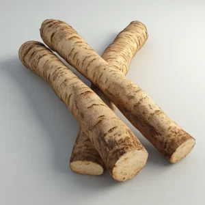 burdock root